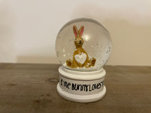 Load image into Gallery viewer, Snow Globe