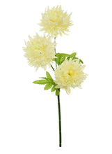 Load image into Gallery viewer, Seeded Ball Pom