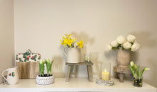 Load image into Gallery viewer, Aged Artisan Planters & Jugs