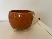 Load image into Gallery viewer, Hedgehog Plant Pot
