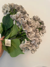 Load image into Gallery viewer, Hydrangea Bunch
