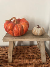 Load image into Gallery viewer, 🎃 Orange Pumpkin

