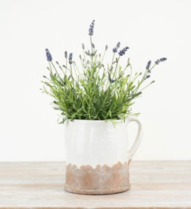 Aged Artisan Planters & Jugs