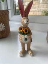 Load image into Gallery viewer, Jasper Rabbit.
