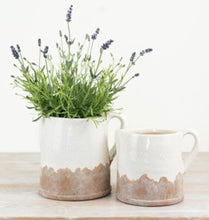 Load image into Gallery viewer, Aged Artisan Planters &amp; Jugs

