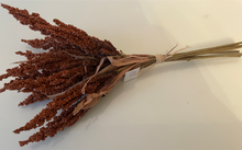 Load image into Gallery viewer, Dried Reed Wheat Bunch
