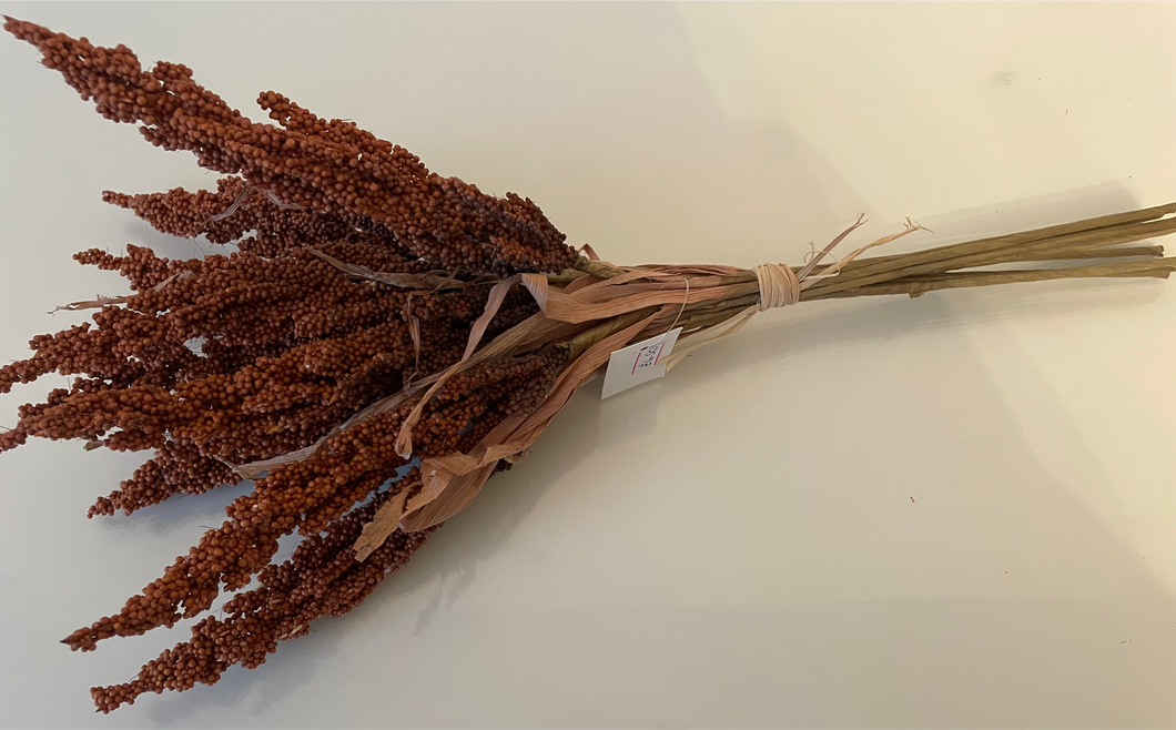 Dried Reed Wheat Bunch