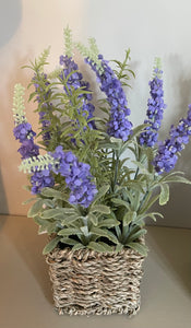 Lavender In Basket