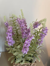 Load image into Gallery viewer, Lavender In Basket

