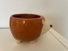 Load image into Gallery viewer, Hedgehog Plant Pot
