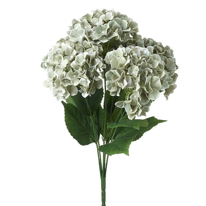 Hydrangea Bunch