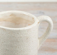 Load image into Gallery viewer, Aged Artisan Planters &amp; Jugs

