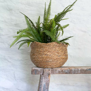 🐇Seagrass Basket Planter Frill Edge