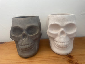 🎃Skull Planter