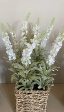 Load image into Gallery viewer, Lavender In Basket
