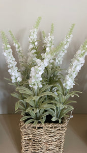 Lavender In Basket