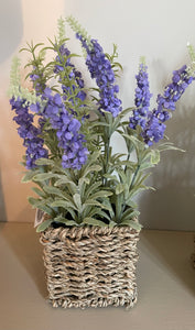 Lavender In Basket