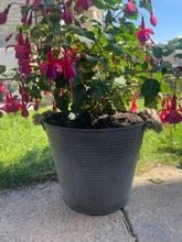 Load image into Gallery viewer, Ribbed Zinc Bucket with Hessian Ears
