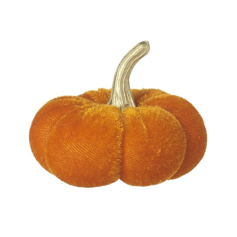 🎃Mini Pumpkin