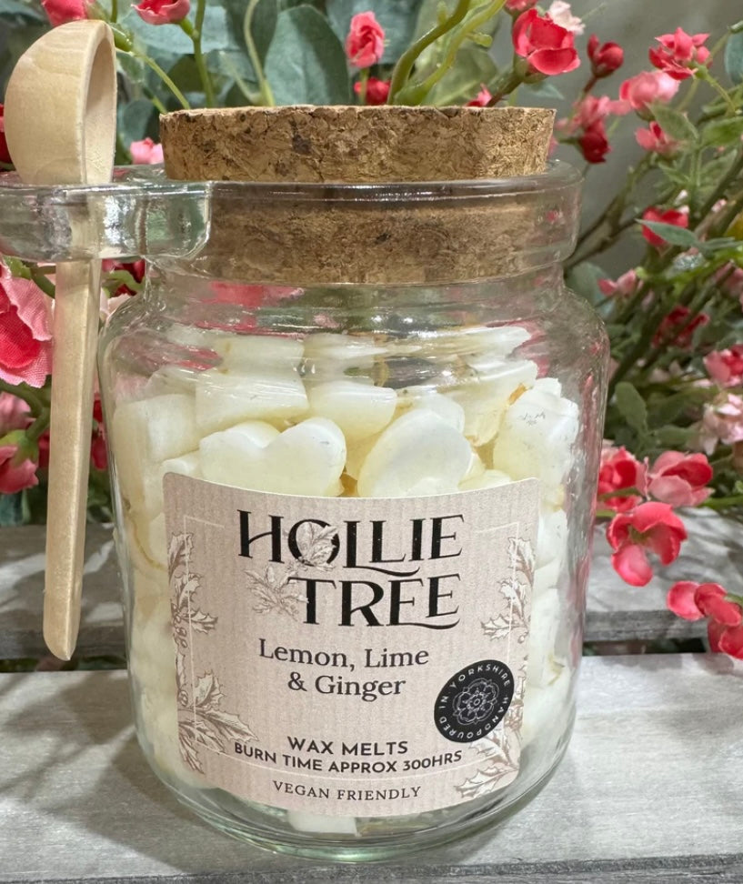 Melting Pot Wax Melts