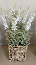 Load image into Gallery viewer, Lavender In Basket
