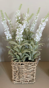Lavender In Basket