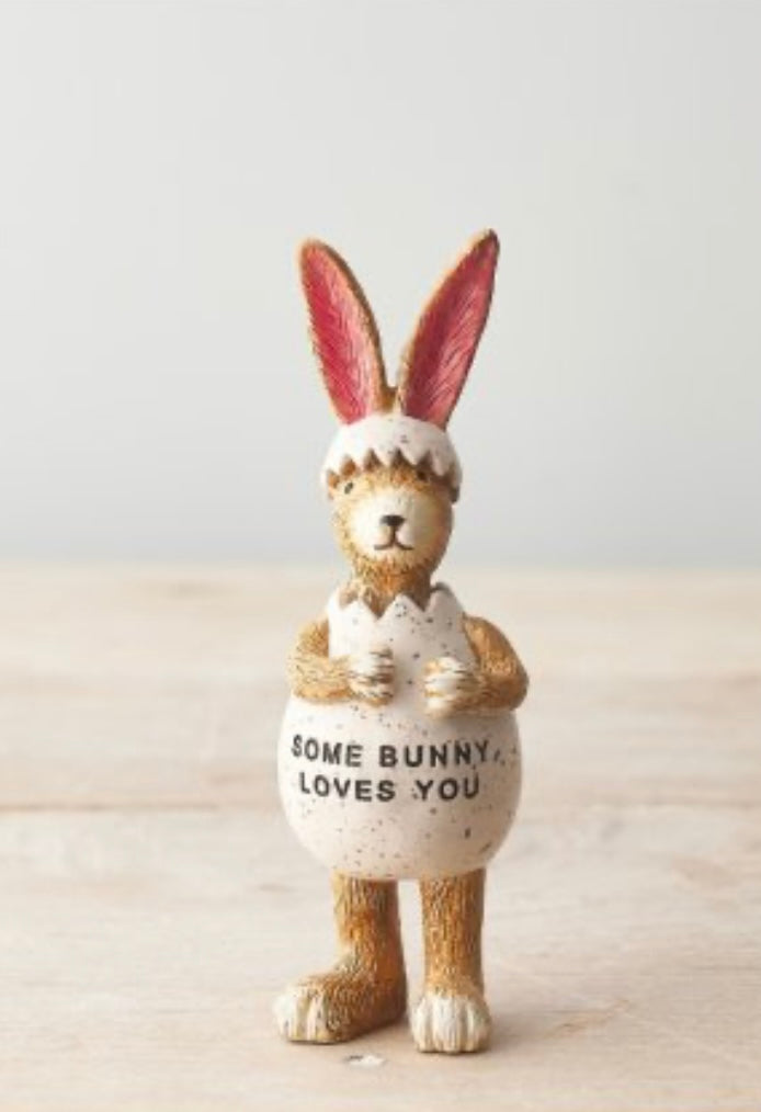 🐇Some Bunny Loves You.