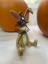 Load image into Gallery viewer, Jasper Rabbit Sitting Witch
