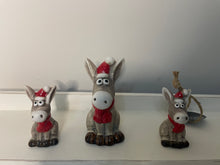 Load image into Gallery viewer, Rosy Eye Christmas Donkey.

