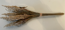 Load image into Gallery viewer, Dried Reed Wheat Bunch
