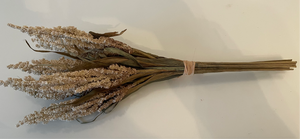 Dried Reed Wheat Bunch