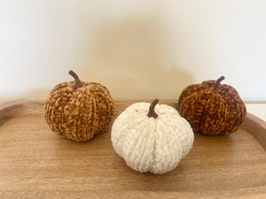 🎃 Pumpkin Set