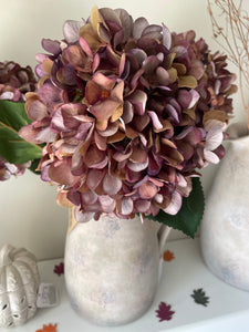 Autumn Coffee Hydrangea