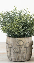 Load image into Gallery viewer, Mushroom Planter.
