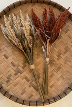 Load image into Gallery viewer, Dried Reed Wheat Bunch
