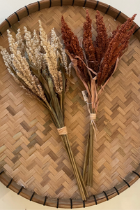 Dried Reed Wheat Bunch