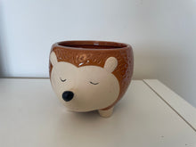 Load image into Gallery viewer, Hedgehog Plant Pot
