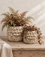 Load image into Gallery viewer, Rustic Mushroom Planter.
