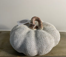 Load image into Gallery viewer, White Mesh Pumpkin
