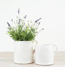 Load image into Gallery viewer, Aged Artisan Planters &amp; Jugs
