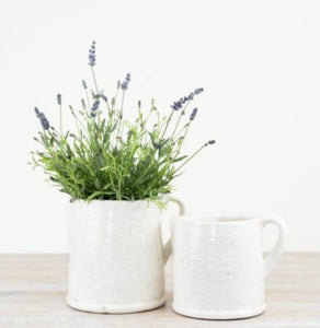 Aged Artisan Planters & Jugs