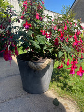 Load image into Gallery viewer, Ribbed Zinc Bucket with Hessian Ears
