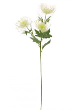 Load image into Gallery viewer, Protea Spray
