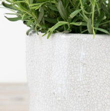 Load image into Gallery viewer, Aged Artisan Planters &amp; Jugs
