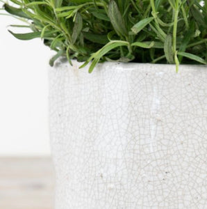 Aged Artisan Planters & Jugs