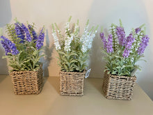 Load image into Gallery viewer, Lavender In Basket
