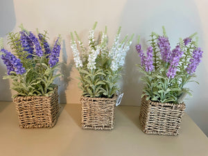 Lavender In Basket