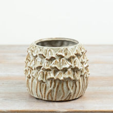 Load image into Gallery viewer, Rustic Mushroom Planter.

