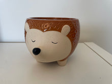 Load image into Gallery viewer, Hedgehog Plant Pot

