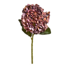 Load image into Gallery viewer, Autumn Coffee Hydrangea

